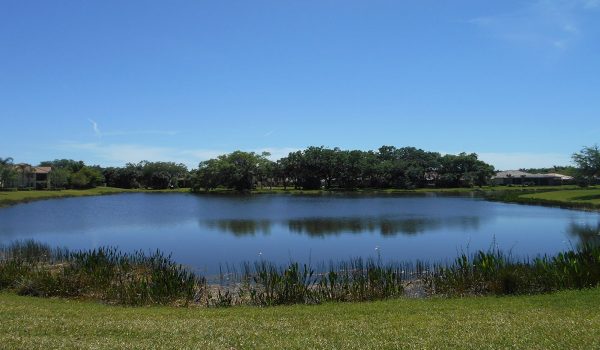pebblebrook lake